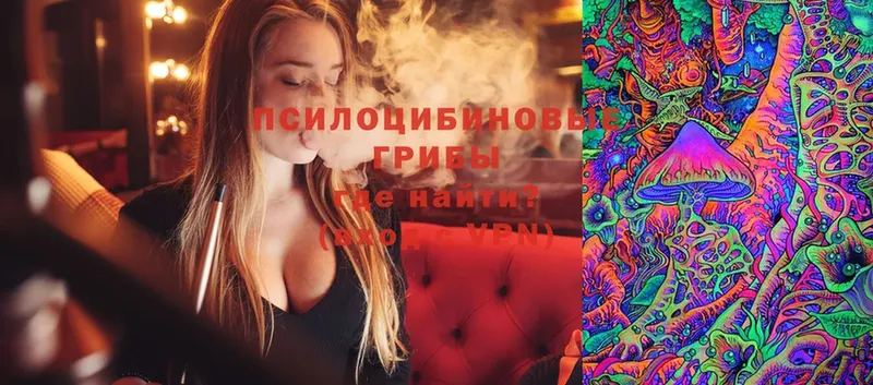 что такое наркотик  Иланский  Галлюциногенные грибы Magic Shrooms 